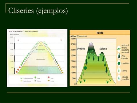 Paisajes vegetales de españa PPT