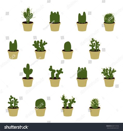 Set Various Cacti Vector Illustration 스톡 벡터로열티 프리 669110146 Shutterstock