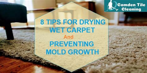 Tips For Drying Wet Carpet And How To Preventing Mould Growth