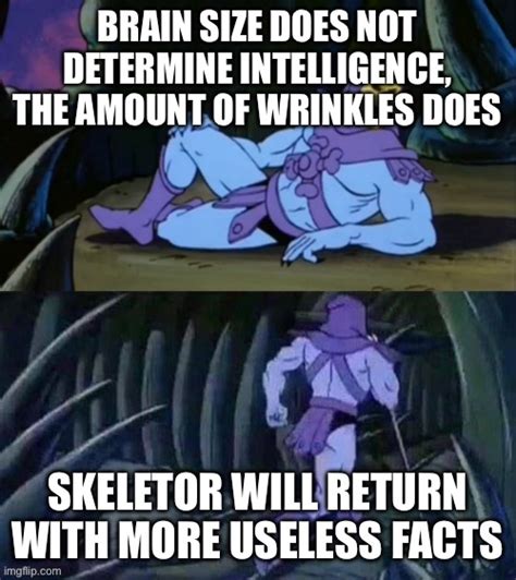 Skeletor Disturbing Facts Imgflip