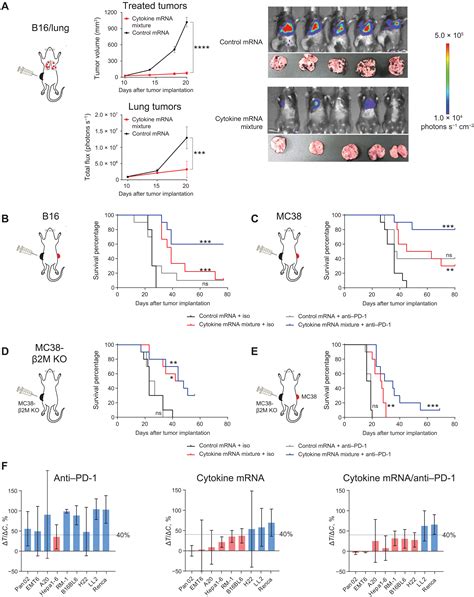 Local Delivery Of Mrna Encoded Cytokines Promotes Antitumor Immunity