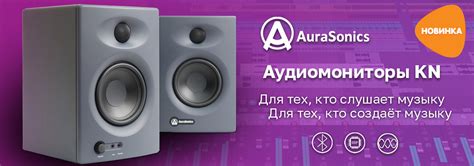 Новинки! Аудиомониторы AuraSonics KN | Новости DNS | IW0005374
