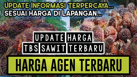 Harga Sawit Di Agen Tadi Siang Harga TBS Sawit Hari Ini Di Riau 18