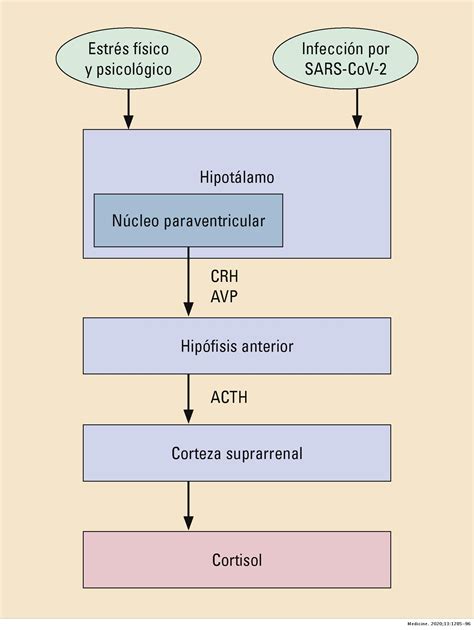 Covid 19 Y Salud Mental Medicine