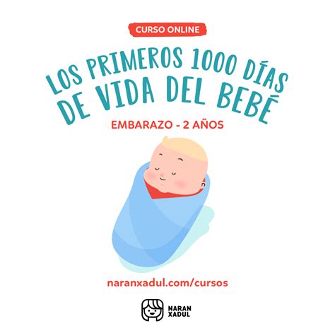 Los Primeros 1000 Días de Vida del Bebé Curso en línea Teachable