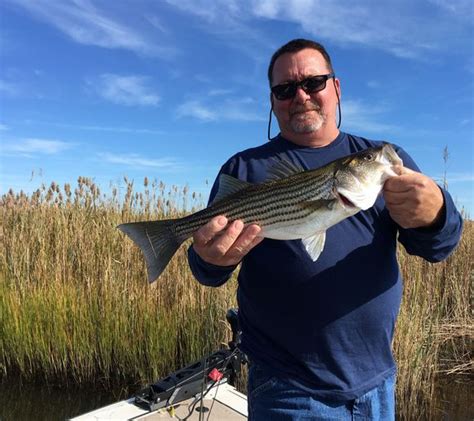 Fishing Reports Best Baits And Forecast For Fishing In Mullica River