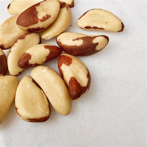 Raw Organic Brazil Nuts Nut • Hut