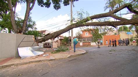 Queda de árvore deixa moradores sem energia na Serra em BH MG2 G1