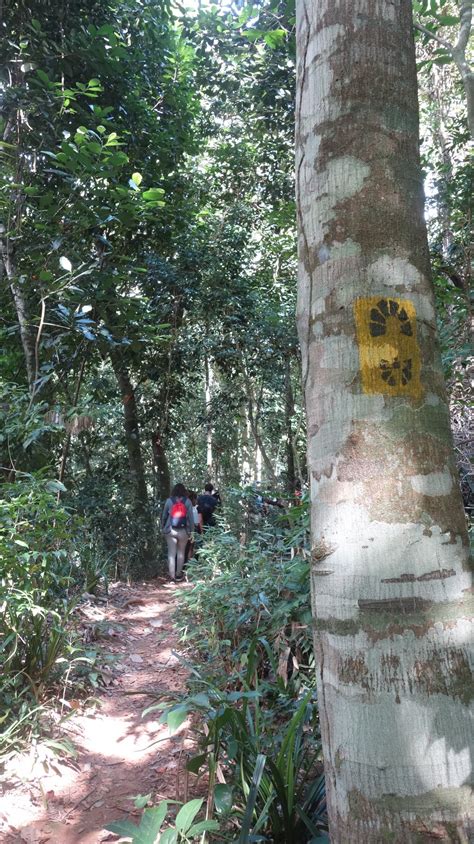 Rede Brasileira De Trilhas Lan A Mapa Que Conecta Os Caminhos Verdes Do