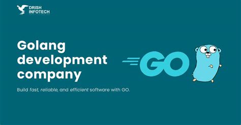 Hire Golang Developers Golang Service Provider Drish Infotech