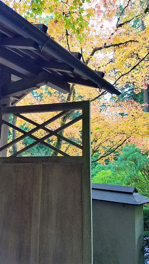 Fall at the Portland Japanese Garden - Pechluck's Food Adventures