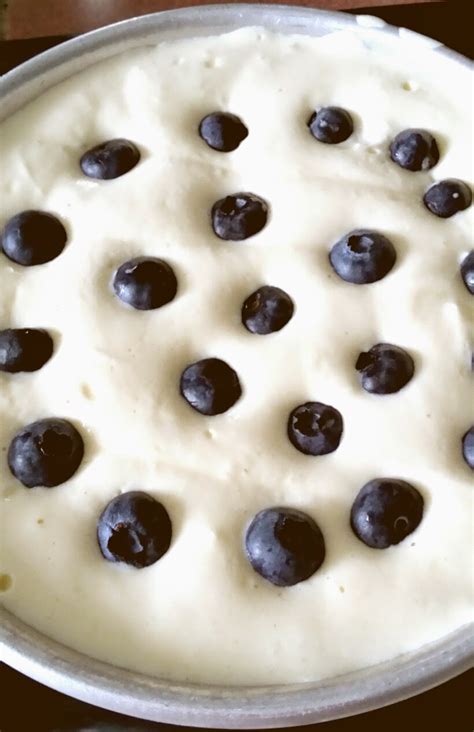 Bibi s Baking Journey 酸奶蓝莓蛋糕Blueberry Yoghurt Cake