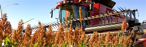 Harvesting Quality Grain Sorghum - National Sorghum Producers