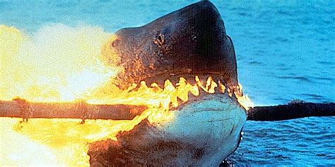 The Best 'Jaws' Sequel Is the One That Didn’t Get Made