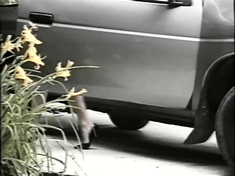 Horny Artists Usa Asia Carrera Kylie Ireland