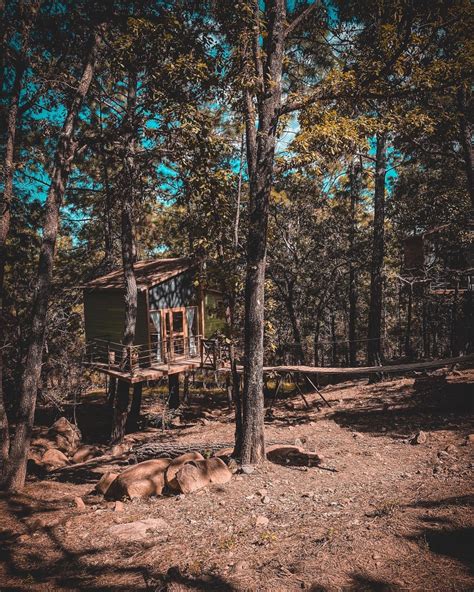 Pinochueco las bellísimas casas del árbol para hospedarte en Huasca de