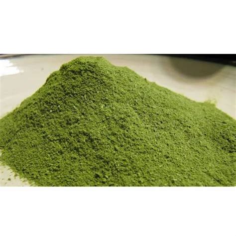 Green Alfalfa Leaf Powder At Rs 330 Kg Herbal Powder In Ahmedabad