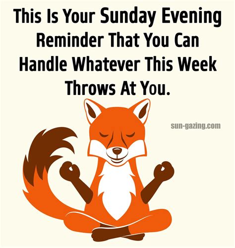 Funny Fox Quotes - ShortQuotes.cc