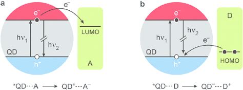 Schematization Of A Electron Transfer From A Photoexcited QD To An