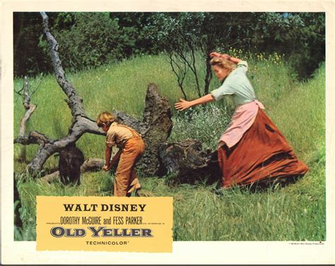 » Blog Archive » Old Yeller 1959 – Walt Disney