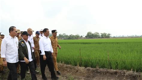 Optimalkan Lahan Rawa Mentan Gandeng Para Pemuda Dan Penyuluh