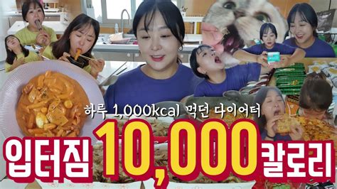 먹다보니 10000칼로리 배떡 로제떡볶이 분모자 튀김 타코야끼 라면 도미노피자 과자 아이스크림 민트초코 등등