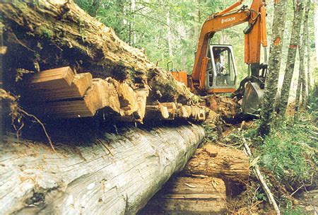 Building with LOGS - Building a Logging Bridge