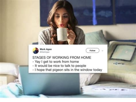 Funny Tweets About Work In An Office 33 Pics