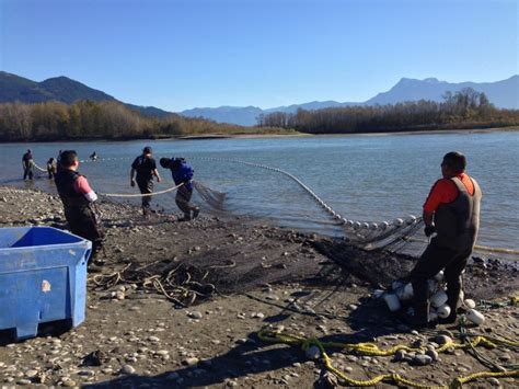 Press Release Salmon Diversity Supports First Nations Fisheries