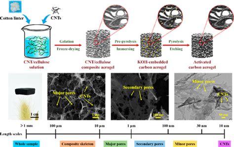 Structuring Hierarchically Porous Architecture In Biomass Derived