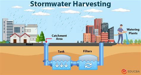 Essay On Rain Water Harvesting Systems Solutions And Implementation