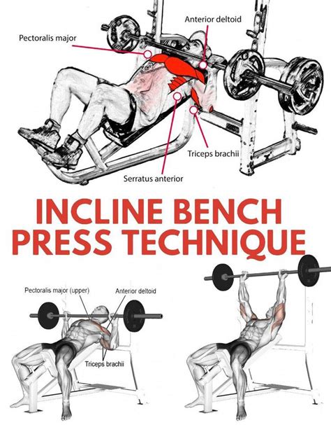 Incline Bench Proper Form