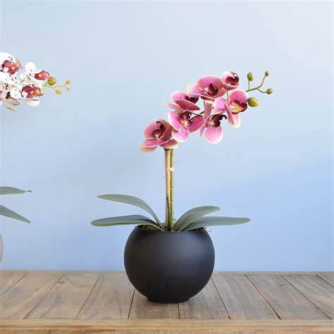 Arranjo Artificial Orquídea Rosa Vaso Vidro Preto Fosco Médio