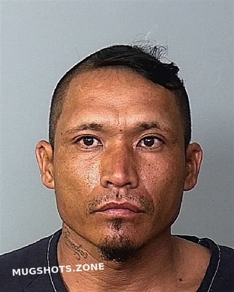 Calixtro Bermudez Guillermo Manatee County Mugshots Zone