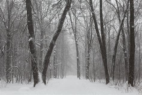 Winter Weather Forecast 2016-2017 | Winter Weather U.S. and Canada ...