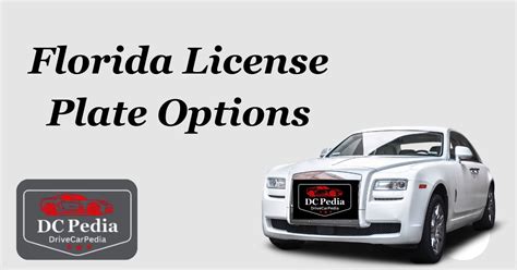 Florida License Plate Options 2024(A Detailed Guide) - Car Pedia