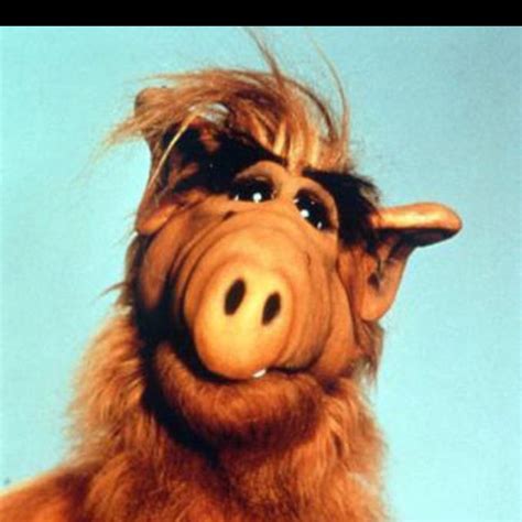 Alf! Alien Life Form. Loved the show! | Alf tv series, Alf, Alien life ...