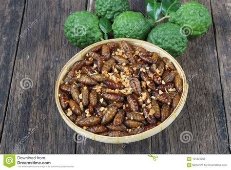 Insects Pupae Stock Image 102397621