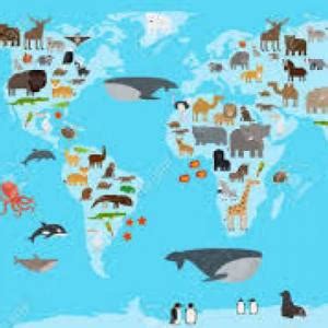 animales del mundo Multinivel Juego educativo Geografía Mobbyt