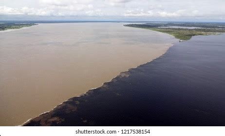 Amazon River Manaus Amazonas Brazil Stock Photo 1217538154 | Shutterstock