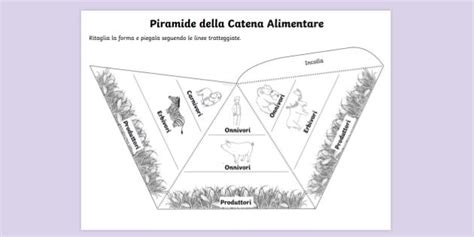 La Catena Alimentare Informazioni E Risorse Twinkl