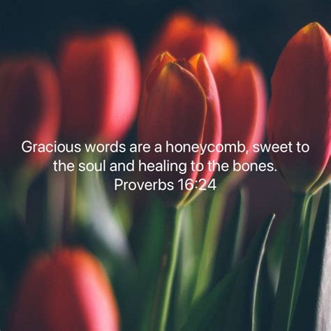 Proverbs 16 24 Gracious Words Are A Honeycomb Sweet To The Soul And