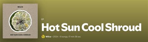 Hot Sun Cool Shroud An Impressive Return To EP Medium For Wilco Review US Rocker