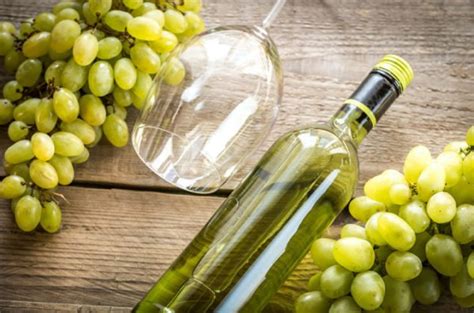 Вино Совиньон Блан (Sauvignon Blanc): особенности и отличия напитков из ...
