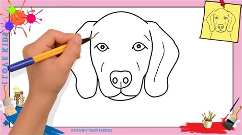 Dessin Facile Chien Beau Photographie Ment Dessiner Un Chien Face 3 ...