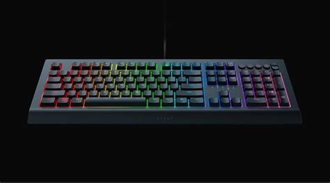 Razer Cynosa V2 Keyboard Review: Play and Work - TECHOBIG