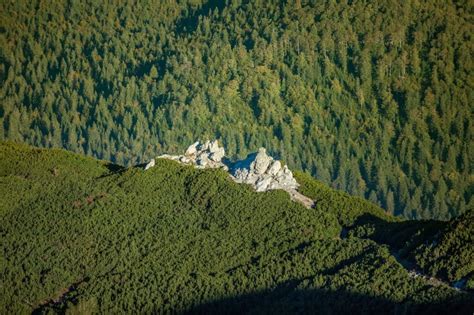 Gu A De Viaje De Moldavia Europa Descubre La Belleza Del Este Del