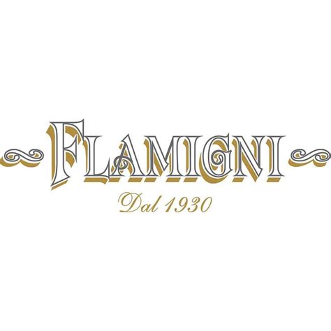 Продукты от производителя Flamigni S.r.L.