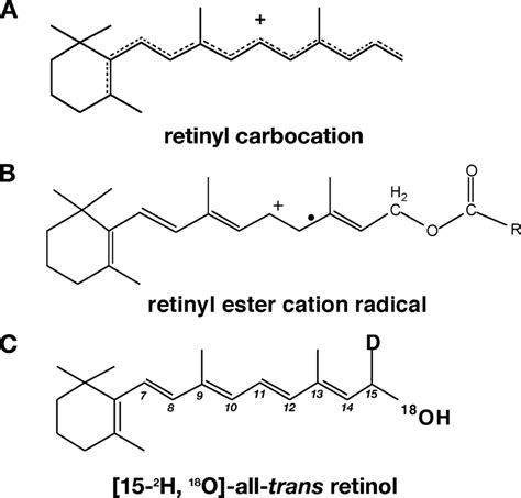 Retinoid Structures A Depiction Of A Generalized Retinyl Carbocation