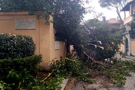 Municipio Roma I Albero Cade Nel Giardino Della Scuola Badini Chiusa